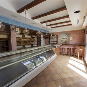 Commercial Premises / Showrooms for Rent in Pesaro