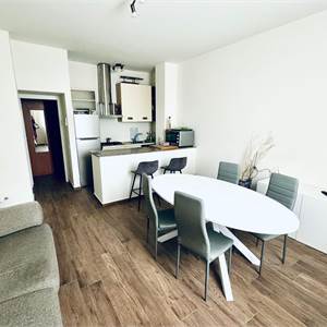 Short time contract for Rent in Pesaro