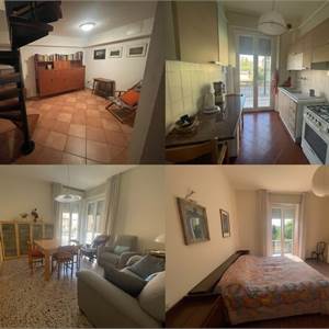 Short time contract for Rent in Pesaro